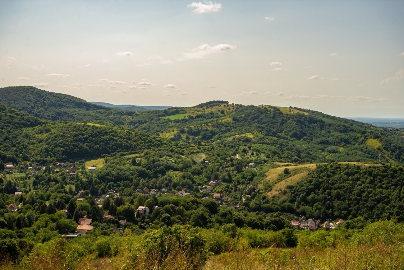 Pogled na obronke i sela Fruške gore